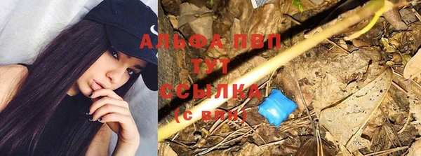 гидра Карталы