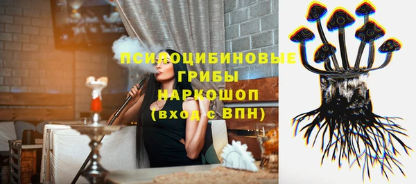 гидра Карталы