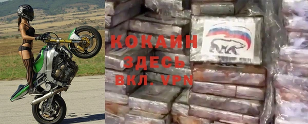 гидра Карталы